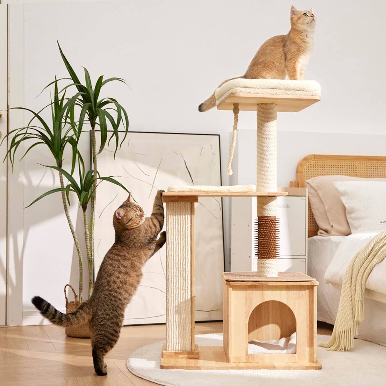 cat condos for sale