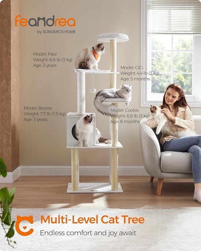 maine coon cat trees