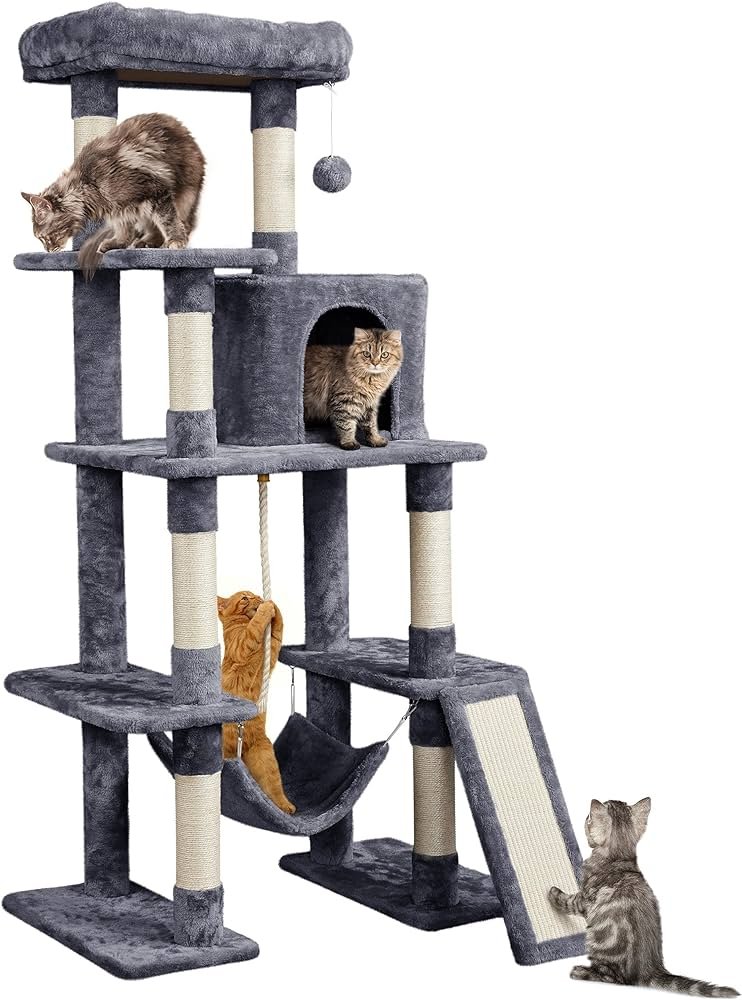 cat condo for large cats