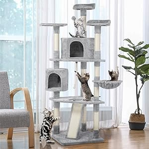 unique cat trees for large cats